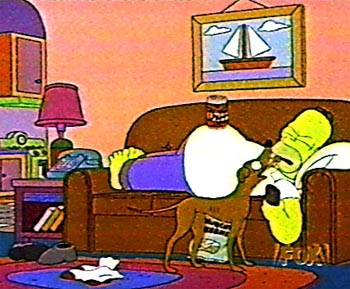 homer picture